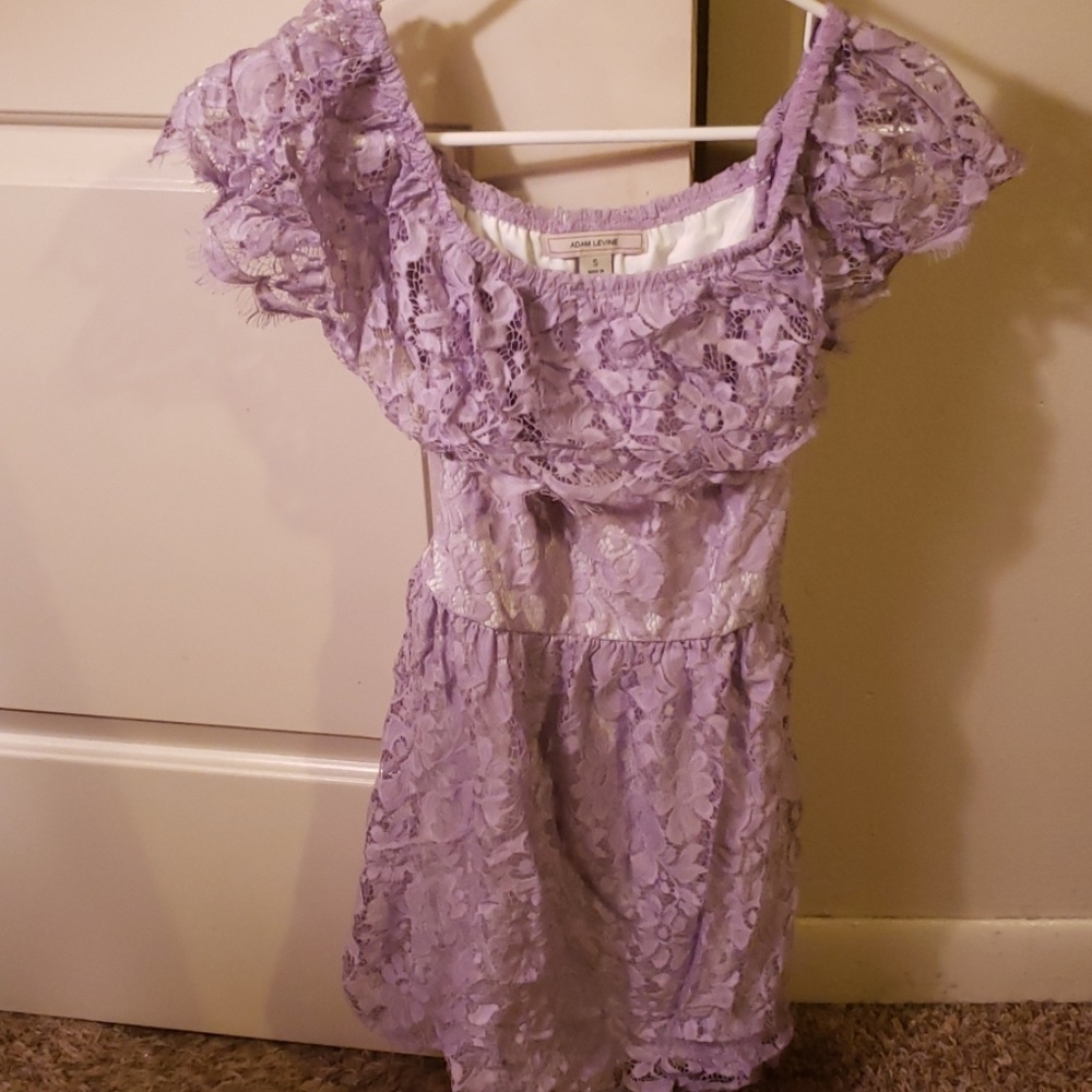Adam Levine Small purple dress